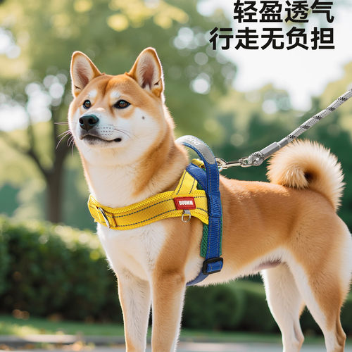 防爆冲狗狗牵引绳中小型犬遛狗绳柴犬比熊宠物胸背带防挣脱狗绳子