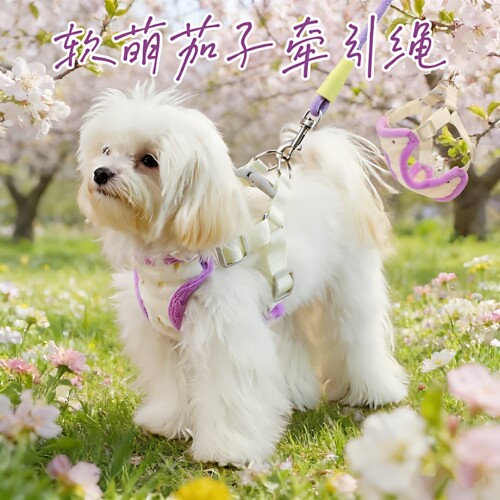 狗狗冬季加绒保暖胸背牛仔背心式牵引绳猫咪小型犬外出绳秋冬比熊