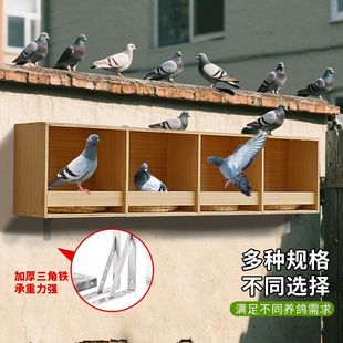 巢箱家用陽臺配對信鴿 木頭鴿子籠賽鴿養殖專用加厚木制鴿子籠拼裝
