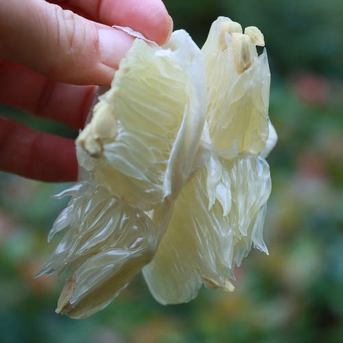 万山香柚新鲜发货小香柚子