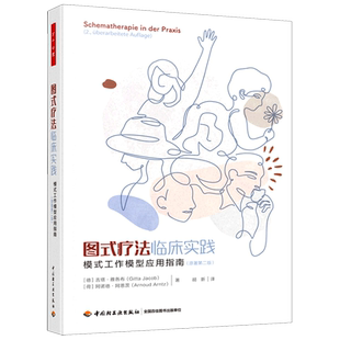 原著第二版 图式 工作模型应用指南 模式 疗法临床实践