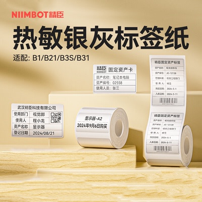 【B系列 银灰】niimbot精臣B1/B21/B3S/B31银灰标签纸办公设备固定资产银色灰色防水热敏不干胶标签机打印纸
