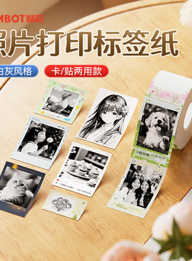 精臣B1Pro/B21Pro高清打印机专用相纸黑白图像照片打印纸自印小卡手账便利贴简笔画卡贴不干胶卡贴纸