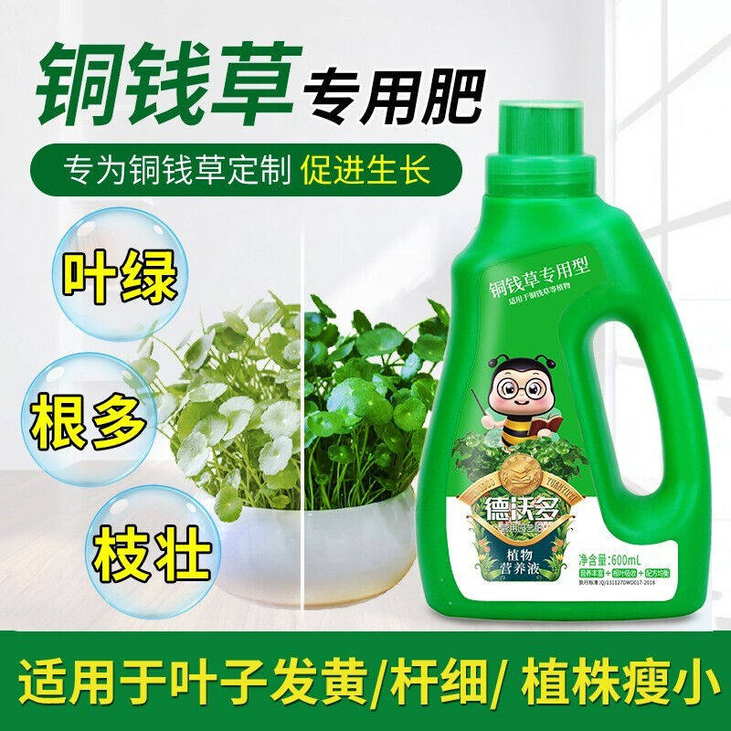 德沃多肥料铜钱草专用植物营养液水草钱币草圆币草天胡荽金钱莲水