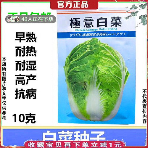 蔬菜籽进口极意白菜种子10克抗热