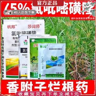 香附子专用除草剂烂根药剂草坪甘蔗玉米三棱草克星水莎草根回头青