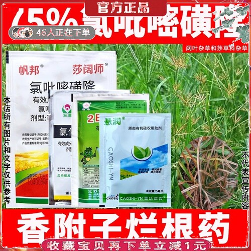香附子专用除草剂草坪甘蔗烂根药