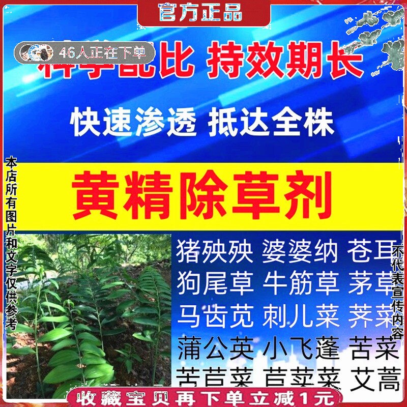 黄精苗后除草剂禾阔双除香附子杀草药中药材毛知母玉竹打灭草农药