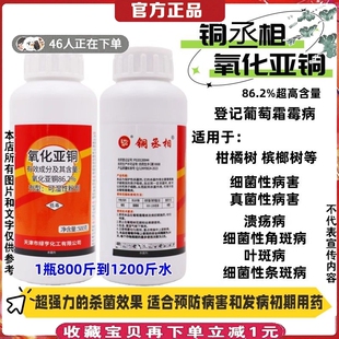氧化亚铜槟榔果树药细菌性角斑病疮痂病叶斑病条斑病炭疽病杀菌剂