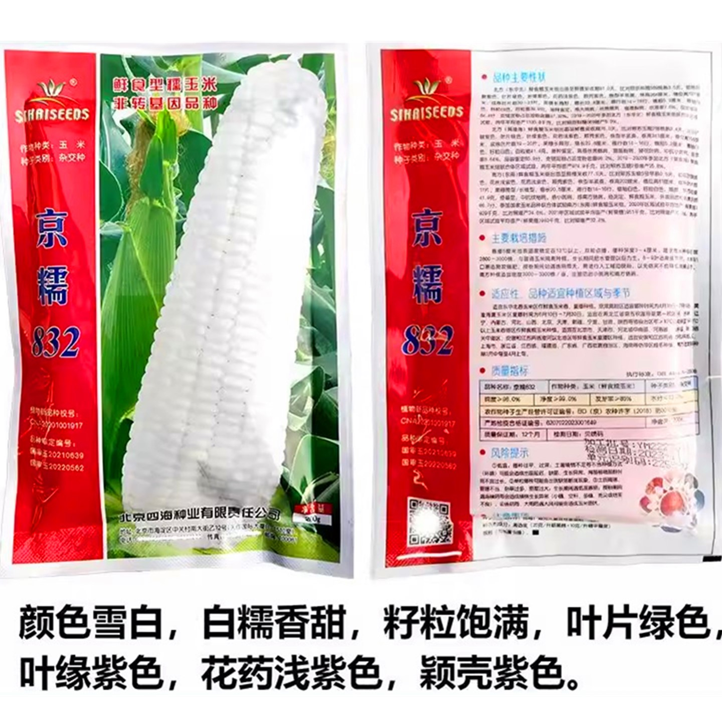 京糯832白糯玉米种子籽高产抗病