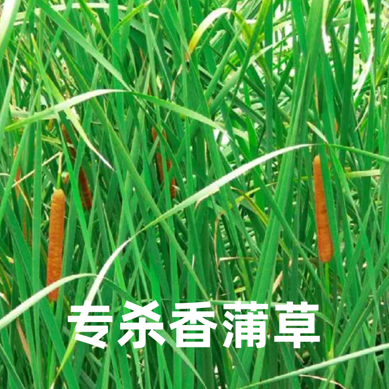 32%滴酸一年生杂草除草剂施必清