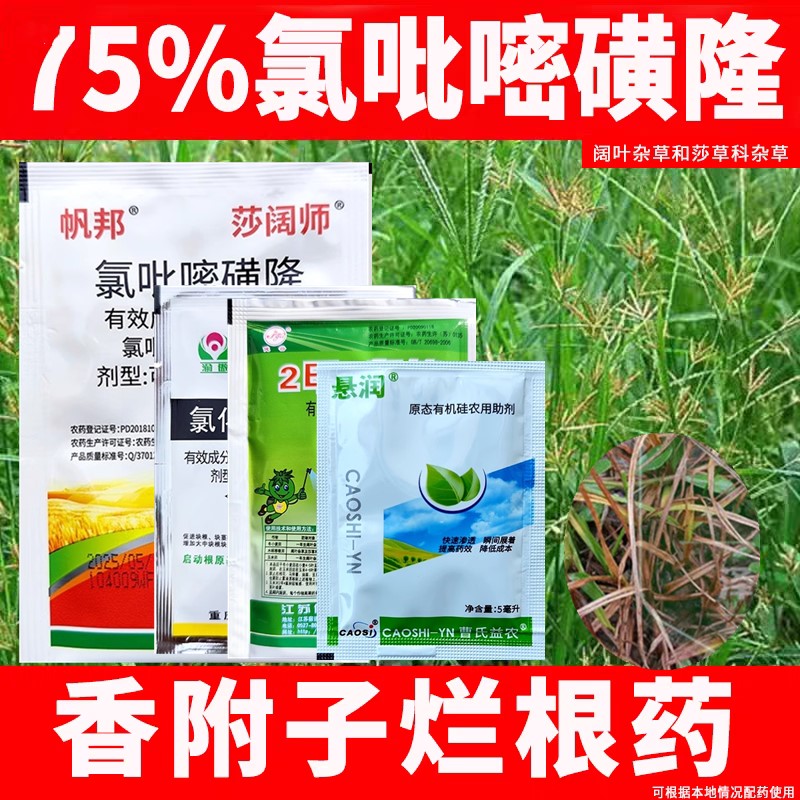 香附子专用除草剂草坪甘蔗烂根药