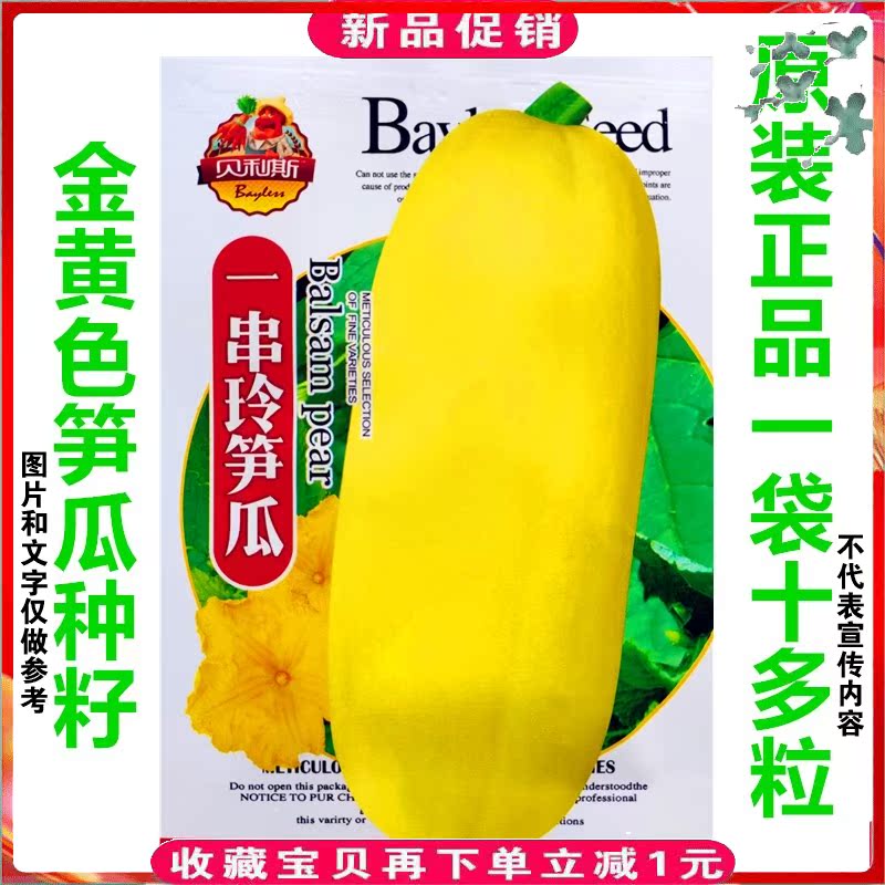 黄皮笋瓜种子孑籽约15粒水果瓜籽一串铃笋瓜籽口感好抗病黄金笋瓜