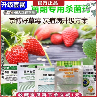 草莓炭疽病白粉病蛇眼病西瓜香蕉褐斑病黑斑病叶枯病黄萎病根腐病