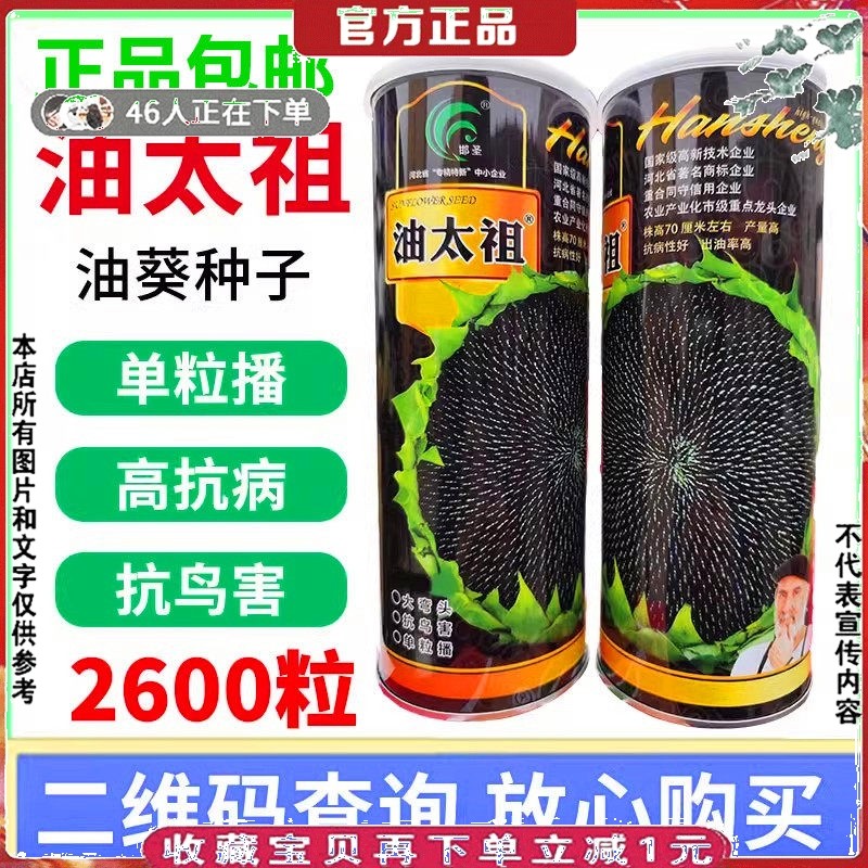葵花种籽孑榨油太祖美国矮大头油葵种子200g向日葵种子葵花瓜子籽,农用物资,蔬菜种子/种苗,淘宝优惠券,粉丝福利购,淘宝优惠卷