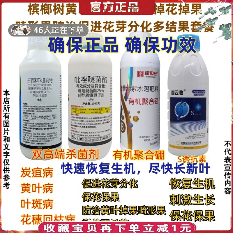 槟榔果树黄叶病烂芯问题保花果促进花芽分化多结果炭疽病叶斑病药