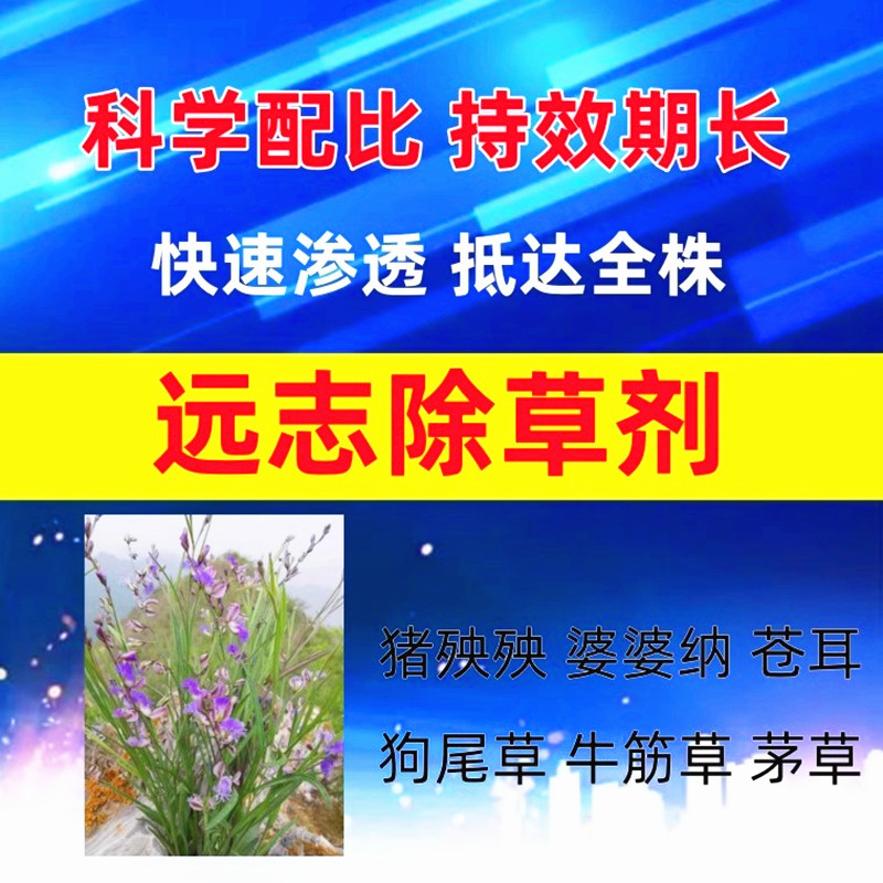 远志苗后专用除草剂中药材禾阔除