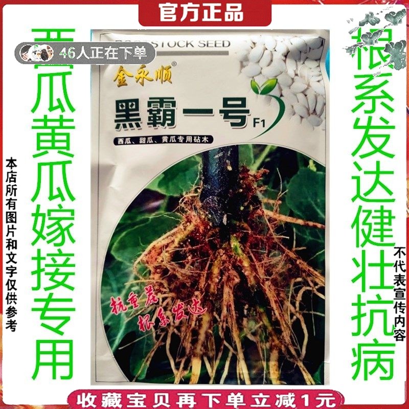 南瓜子嫁接专用黑霸一号白籽黑茎根沾砧木种子西瓜甜瓜黄瓜嫁接用,农用物资,蔬菜种子/种苗,淘宝优惠券,粉丝福利购,淘宝优惠卷