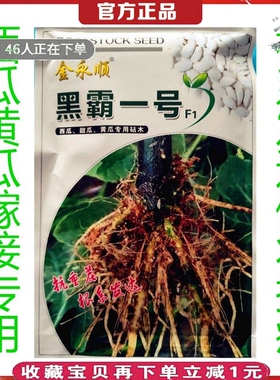 南瓜子嫁接专用黑霸一号白籽黑茎根沾砧木种子西瓜甜瓜黄瓜嫁接用
