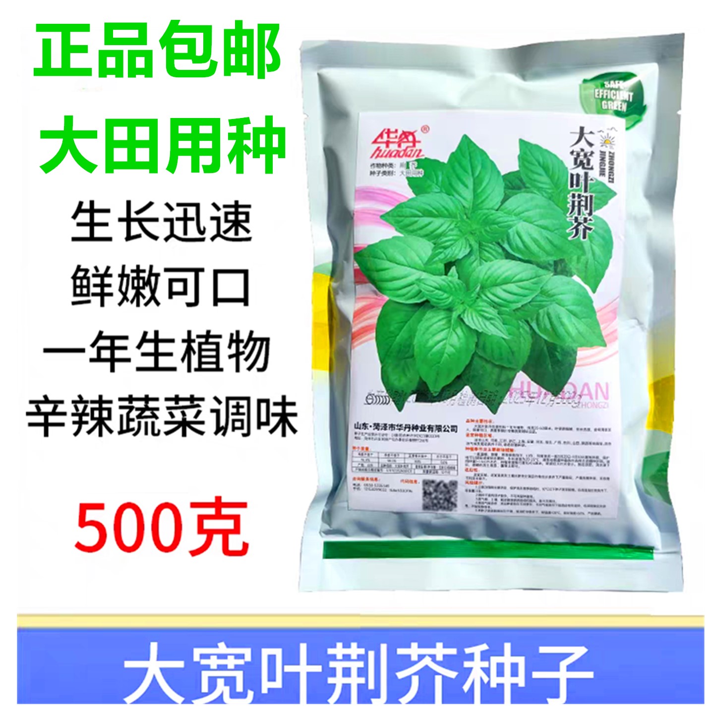 大宽叶荆芥种子生长迅速美味500g