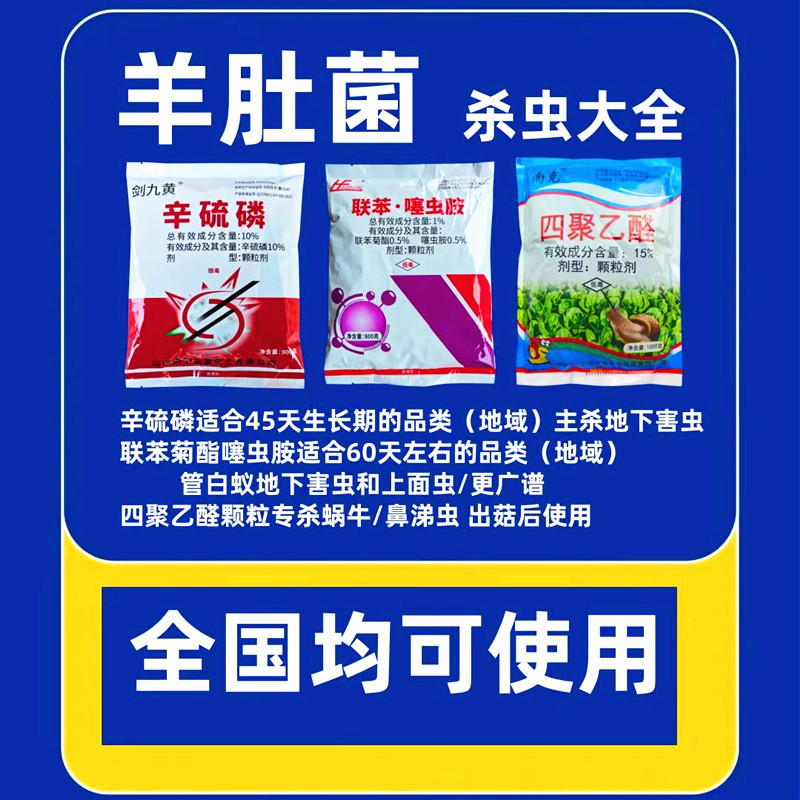 羊肚菌杀虫剂大全土蚕蝼蛄金针虫