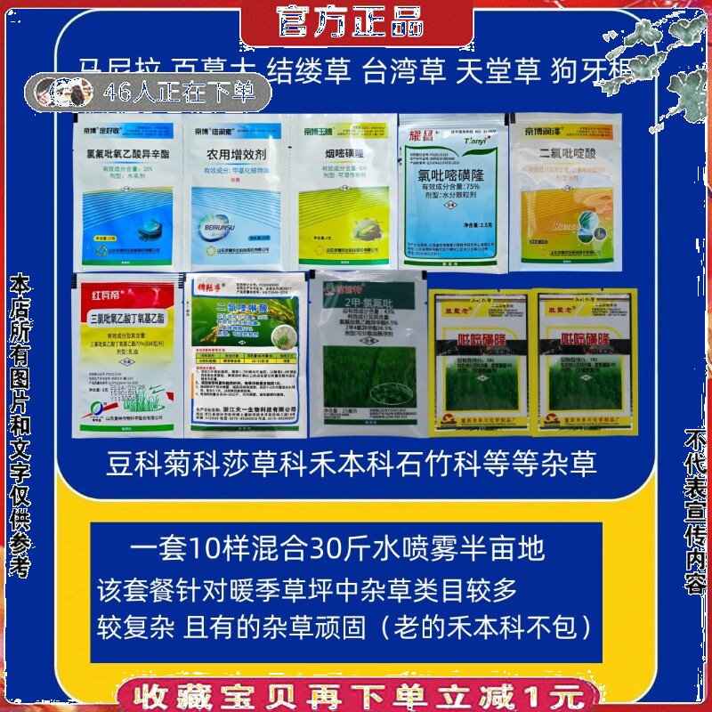 马尼拉百慕大台湾草结缕草天堂草狗牙根草坪除草剂杀阔叶尖叶莎草 - 实物图