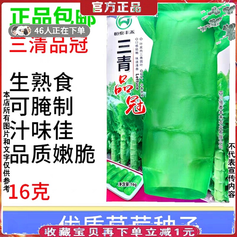 优质青莴笋种子三青品冠莴苣种子脆嫩多汁生熟食皆可蔬菜种籽16克