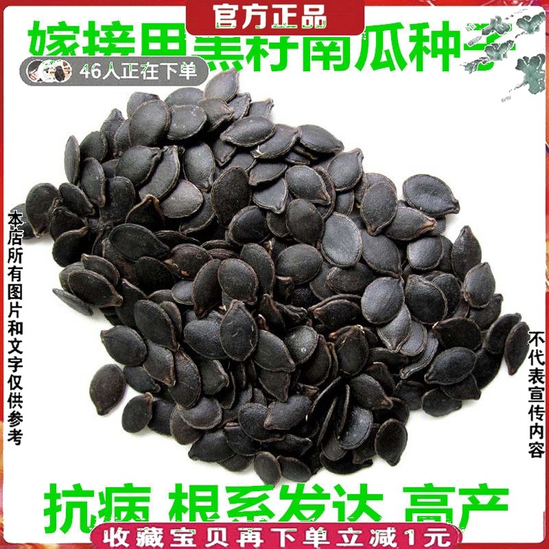 嫁接用黑籽南瓜种子籽孑番茄辣椒西瓜种子茄子沾粘贴砧木种子500g,农用物资,蔬菜种子/种苗,淘宝优惠券,粉丝福利购,淘宝优惠卷