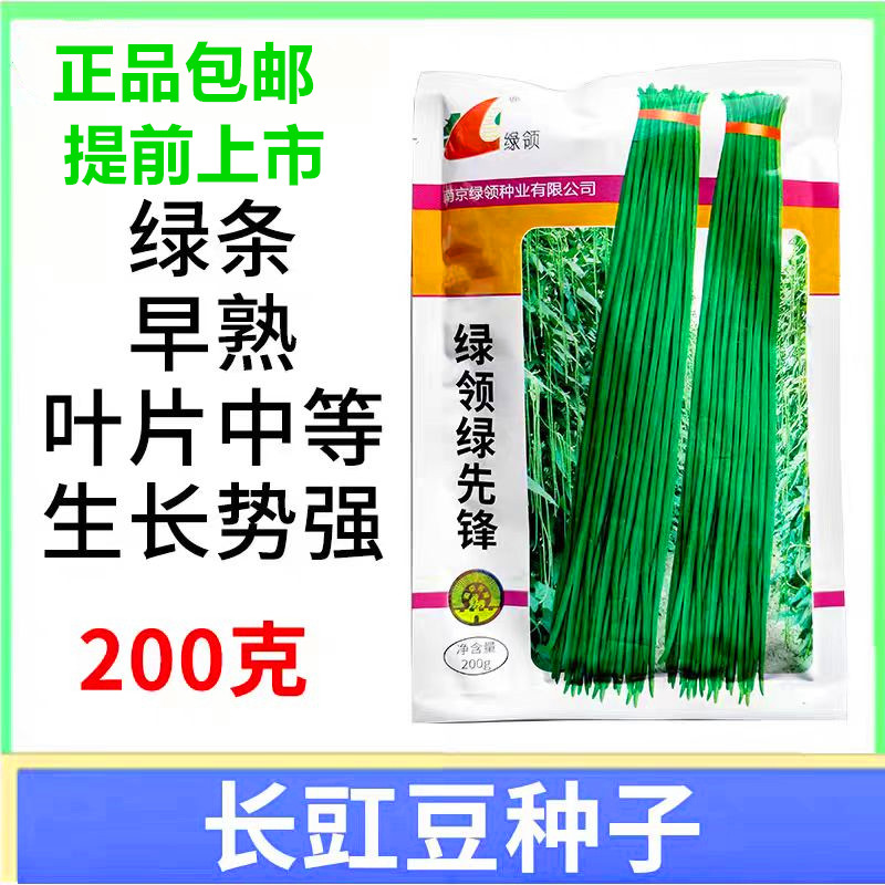 绿领绿先锋豇豆种子200g豆角种籽