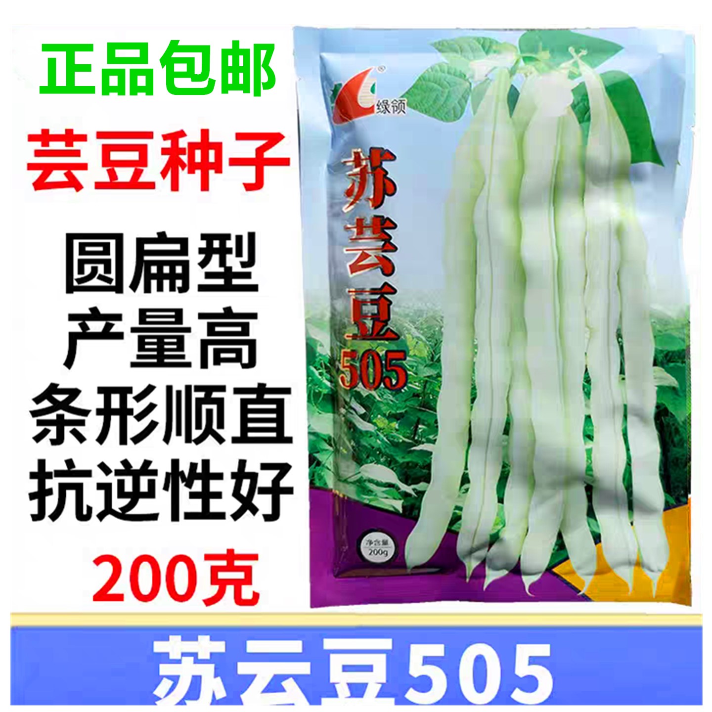 苏芸豆505四季豆种子高产云豆籽