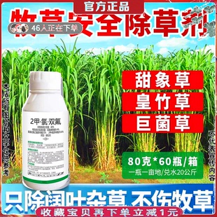 牧草田地专用除草剂皇竹草甜象草黑麦草高丹草巨菌草墨西哥玉米草