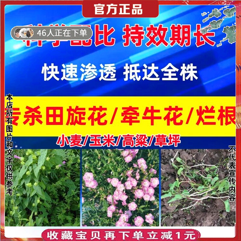 专杀田旋花打碗花喇叭花大碗花草坪玉米二甲四氯钠阔叶杂草除草剂