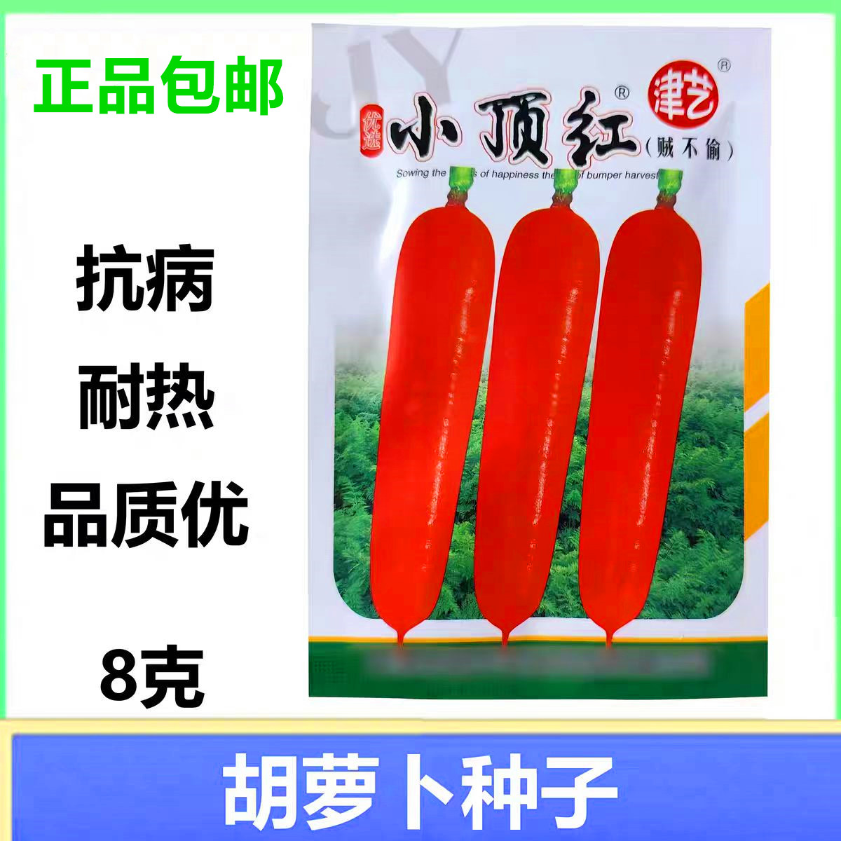 燕顶小顶红胡萝卜种子生吃脆甜籽
