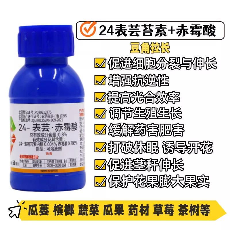 24表芸苔素赤霉酸豆角拉长膨大果