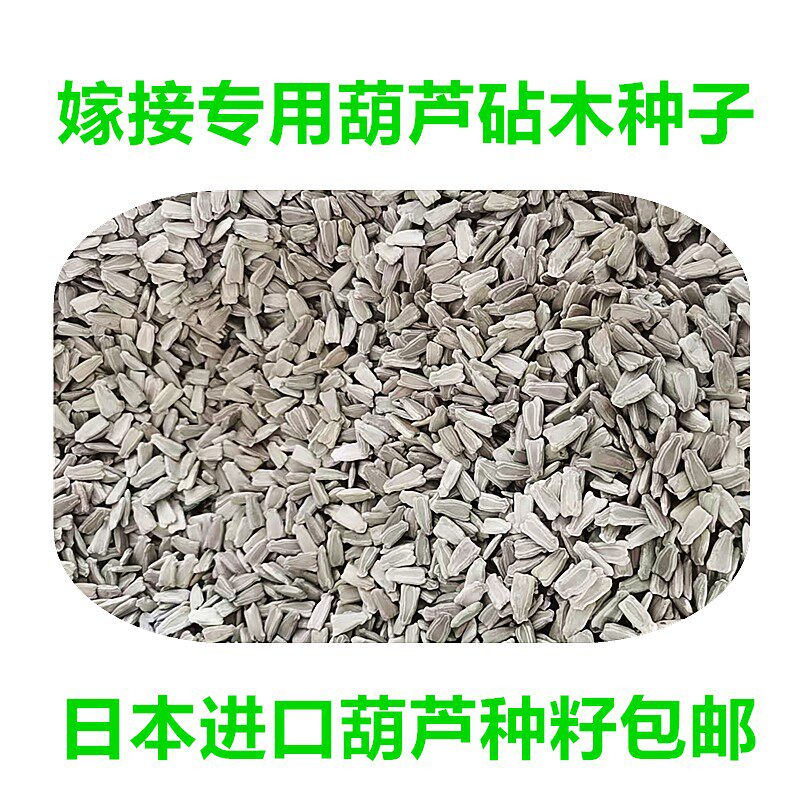 西瓜砧木甜瓜嫁接专用葫芦卢种子