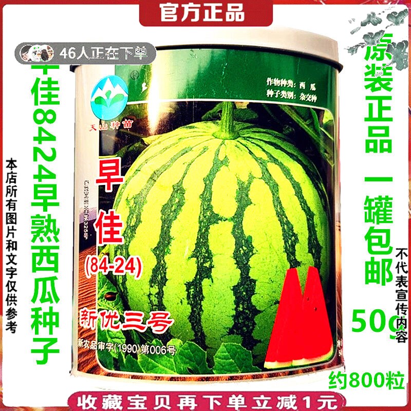 早佳8424西瓜种子孑50克冰糖瓜甜脆早熟礼品红壤圆西瓜籽子菊城牌