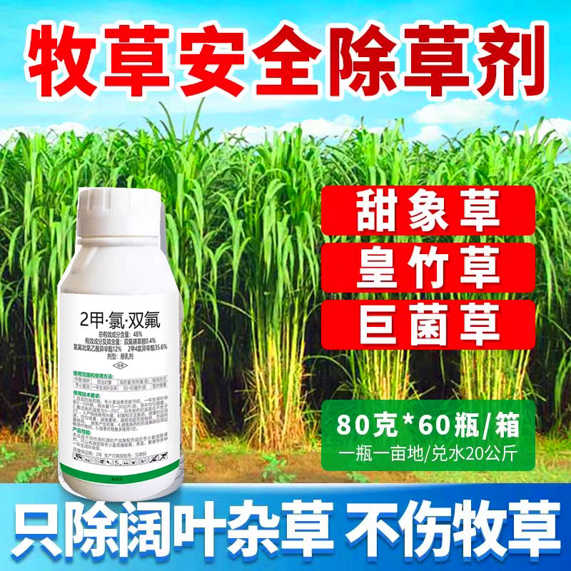 牧草专用除草剂皇竹草甜象黑麦草