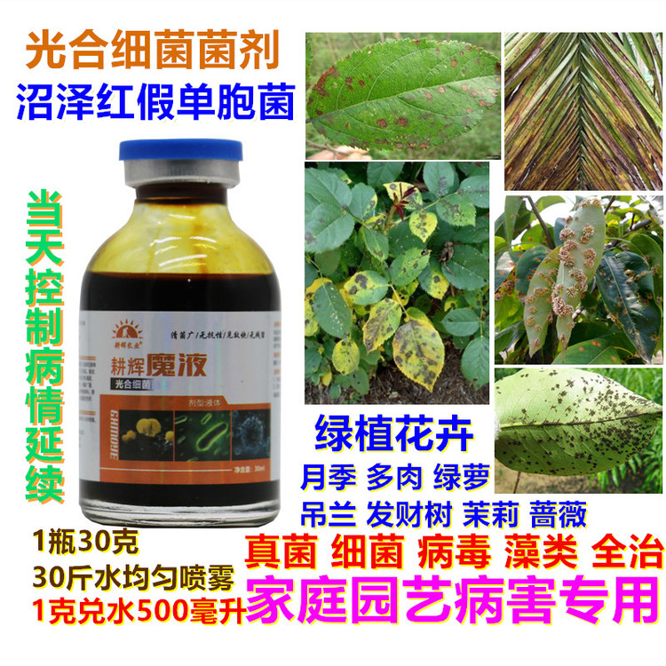 魔液家庭园艺绿植花卉真菌细菌病毒病全治月季蔷薇多肉光合细菌剂