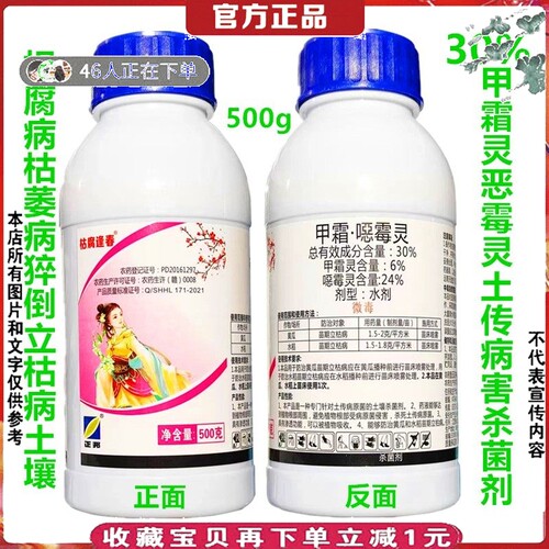黄瓜水稻立枯病甲霜杀菌剂恶霉灵