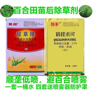 百合除草剂精奎禾灵黄精静净晶药食用百合白禾何苗后专用灭杀草剂