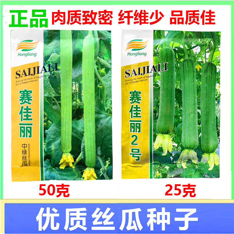 种籽孑赛佳丽2号杂交肉丝瓜种子
