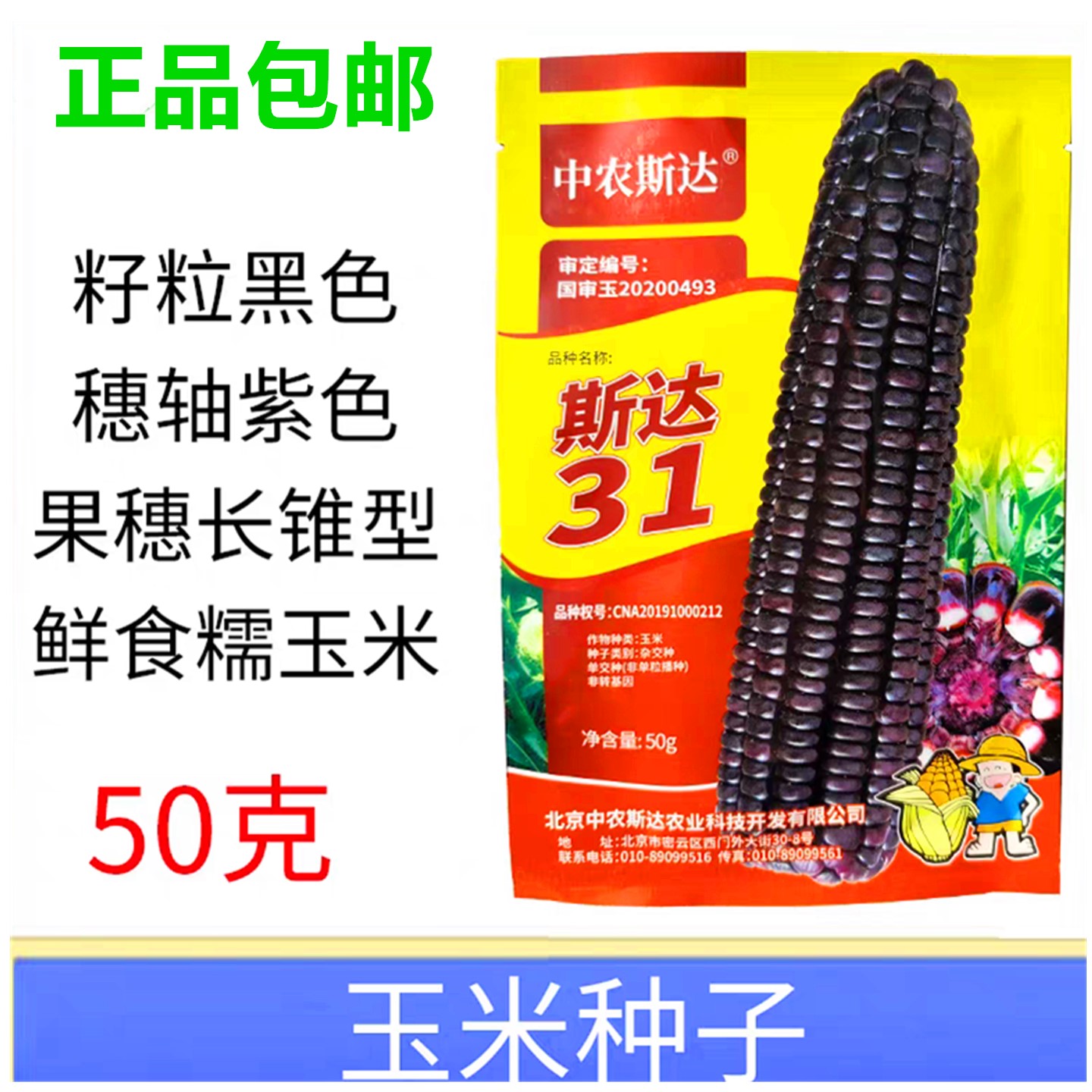 中农斯达黑糯玉米种子籽高产50g