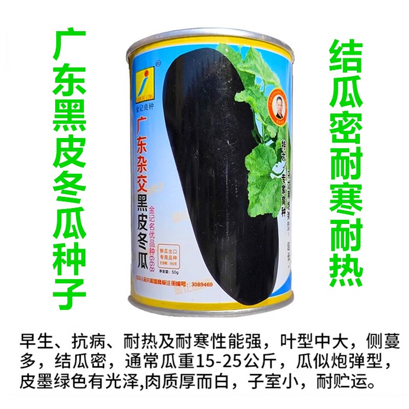 广东杂交黑皮冬瓜种子东瓜耐寒热