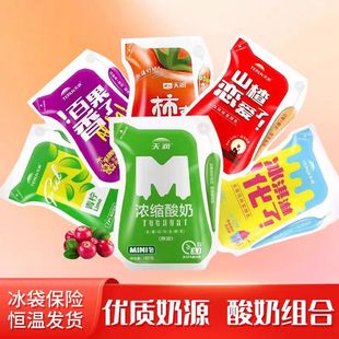 12袋 新疆天润酸奶浓缩原味冰淇淋爱克林酸奶180g 顺丰航空