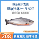 新疆三文鱼虹鳟刺身整条新疆海鲜生片寿司料理品 顺丰冷链