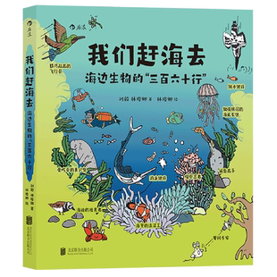 三百六十行 我们赶海去 海边生物