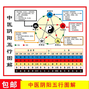 中医阴阳五行图解挂画五脏五味五音人体五行相生相克午流柱表海报