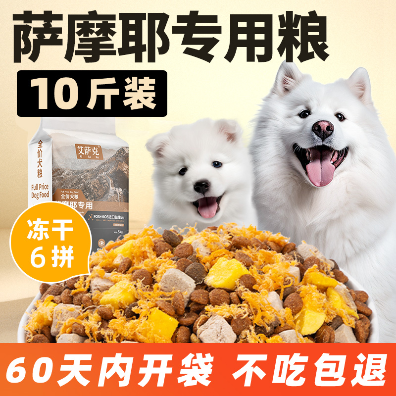 萨摩耶中型犬六拼美毛靓毛