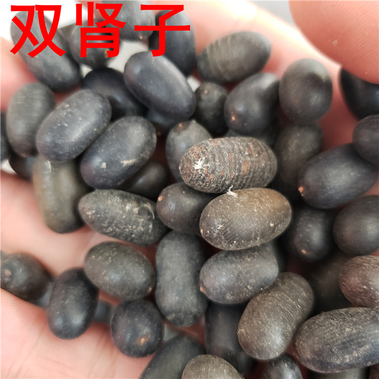 双肾子500克 中药材 双肾子 阴阳果 泡酒料  包邮