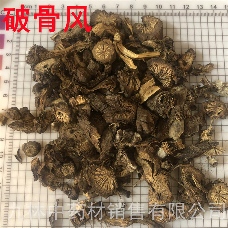 破骨风中药材破骨风500克包邮 花木通破膝风 钻骨风破风藤老鹰柴